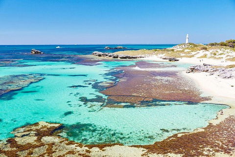 Rottnest Island Bike & Ferry Package From Fremantle - Accommodation Southport 5