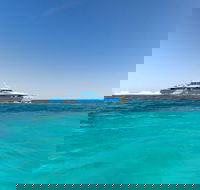 Rottnest Island Bayseeker Day Trip from Perth - Southport Accommodation