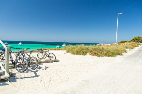 Rottnest Island Bayseeker Day Trip From Perth - Accommodation Southport 1