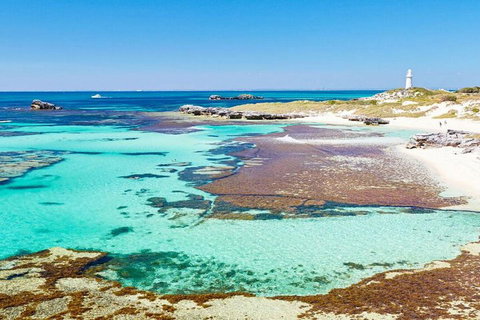 Rottnest Island Bayseeker Day Trip From Perth - Accommodation Southport 4