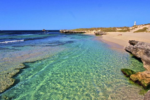 Rottnest Island Bayseeker Day Trip From Perth - Accommodation Southport 5