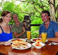 Breakfast with the Koalas at Hartley's Crocodile Park from Cairns or Palm Cove - Southport Accommodation