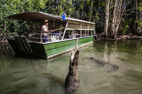 Hartley's Crocodile Adventures Day Trip From Palm Cove - Southport Accommodation 2