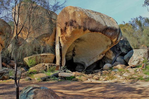 Wave Rock Half Day Air & Ground Tour - Southport Accommodation 1