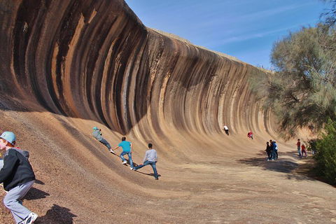 Wave Rock Half Day Air & Ground Tour - Southport Accommodation 2