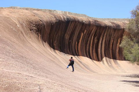 Wave Rock Half Day Air & Ground Tour - Southport Accommodation 3