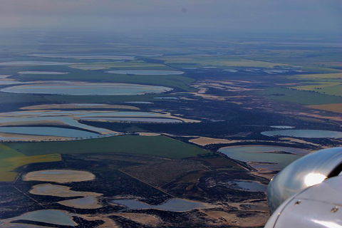 Wave Rock Half Day Air & Ground Tour - Southport Accommodation 4