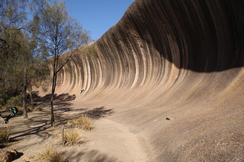 Wave Rock Half Day Air & Ground Tour - Southport Accommodation 5