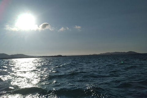 Townsville Small Group Early Morning Sailing Cruise Boat Tour Charter Hire - Accommodation Southport 4