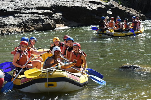 Barron River Half-Day White Water Rafting From Cairns - Accommodation Southport 4