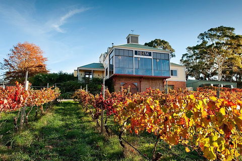 Adelaide Hills Food, Wine, Cheese, & Chocolate - Private Day Tour - Southport Accommodation 3