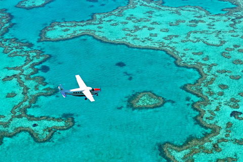 Fly & Sail Package (With Providence) - Southport Accommodation 4