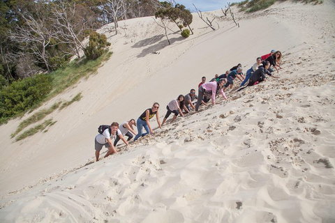 6-Day Tasmanian Explorer Adventure Tour From Hobart - Southport Accommodation 2