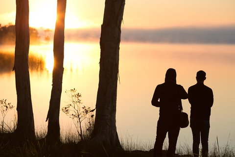 Serenity Cruise To Australia's Everglades - Accommodation Southport 5