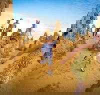 Full-Day Pinnacles Desert and Yanchep National Park Tour From Perth - Accommodation Southport