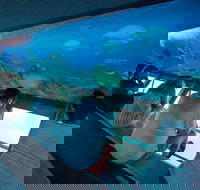 Great Barrier Reef Day Cruise to Reefworld - Accommodation Southport