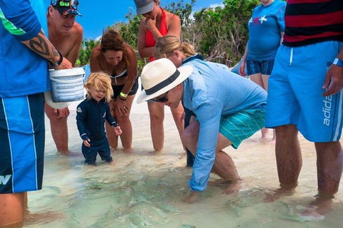 Whitehaven Beach And Hamilton Island Cruise - Accommodation Southport 1