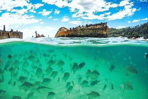 Adventure Moreton Island Day Pass - Southport Accommodation 4