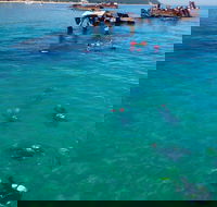 Adventure Moreton Island Scuba Dive Tour