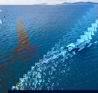 2-Night Whitsunday Islands Sailing Adventure on Trimaran Avatar - Accommodation Southport