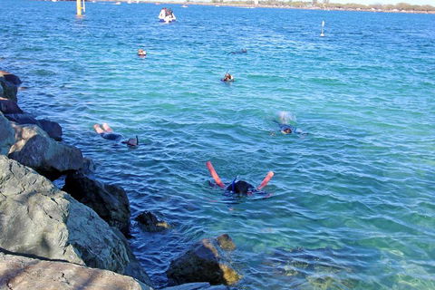 Wave Break Island Scuba Diving On The Gold Coast - Southport Accommodation 1
