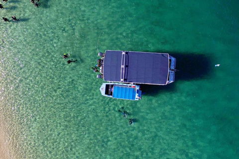Wave Break Island Scuba Diving On The Gold Coast - Southport Accommodation 2