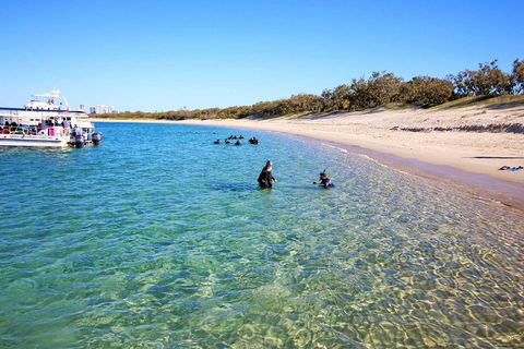 Wave Break Island Scuba Diving On The Gold Coast - Southport Accommodation 4