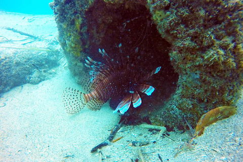 Wave Break Island Scuba Diving On The Gold Coast - Southport Accommodation 5