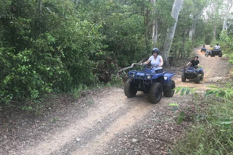 Cairns ATV Adventure Tour And Morning Train - Southport Accommodation 0