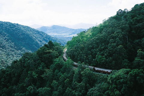 Cairns ATV Adventure Tour And Morning Train - Southport Accommodation 3