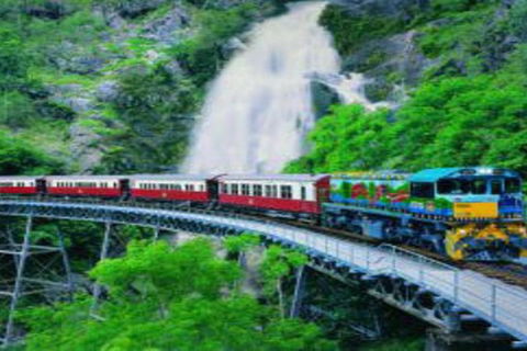 Cairns ATV Adventure Tour And Morning Train - Southport Accommodation 4