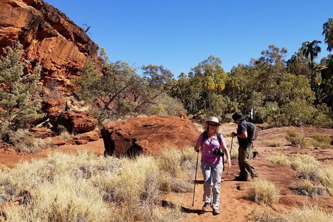 Palm Valley And Hermannsburg 1 Day 4WD Tour - Southport Accommodation 1