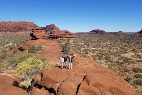 Palm Valley And Hermannsburg 1 Day 4WD Tour - Southport Accommodation 3