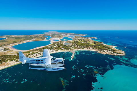 Full Day Tour By Seaplane To Rottnest Island Small Group Trip - Accommodation Southport 1