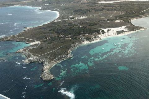 Full Day Tour By Seaplane To Rottnest Island Small Group Trip - Accommodation Southport 5