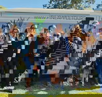 Full Day Mount Tamborine Winery Tour from Gold Coast - Southport Accommodation