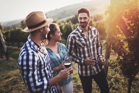 Full Day Mount Tamborine Winery Tour From Gold Coast - Southport Accommodation 5
