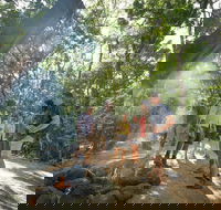 Mossman Gorge Adventure Day - Accommodation Southport