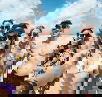 Whitsunday Islands Sailing Adventure - Accommodation Southport