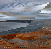 Kangaroo Island Luxury Small Group 'Flinders Chase Focus' Full Day Tour - Accommodation Southport