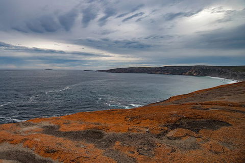 Kangaroo Island Luxury Small Group 'Flinders Chase Focus' Full Day Tour - Southport Accommodation 0