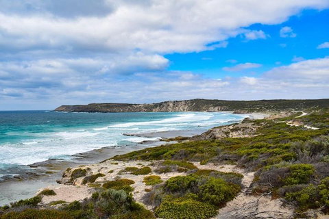 Kangaroo Island Luxury Small Group 'East End Explorer' Full Day Tour - Accommodation Southport 0