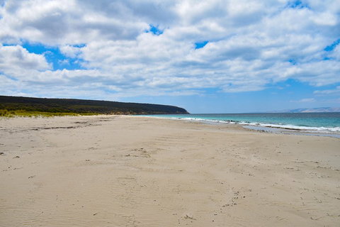 Kangaroo Island Luxury Small Group 'East End Explorer' Full Day Tour - Accommodation Southport 3