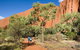 Full Uluru Base Walk At Sunrise Including Breakfast - thumb 0