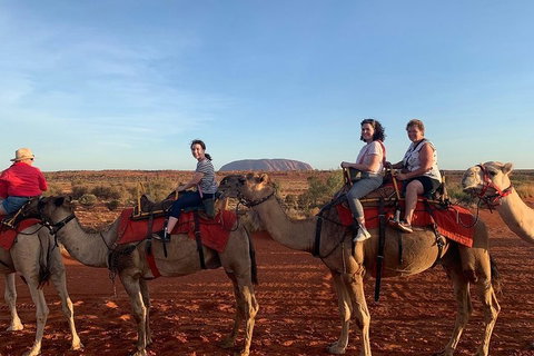 Uluru Small-Group Tour By Camel At Sunrise Or Sunset - Accommodation Southport 2