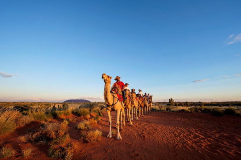 Uluru Small-Group Tour By Camel At Sunrise Or Sunset - Accommodation Southport 3