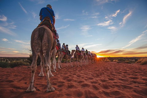 Uluru Small-Group Tour By Camel At Sunrise Or Sunset - Accommodation Southport 5