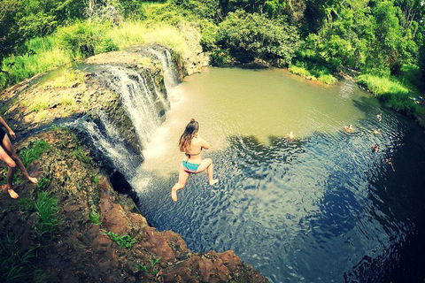 Byron Surrounds: Nimbin Waterfall Adventure - Swimming Tour - Southport Accommodation 3