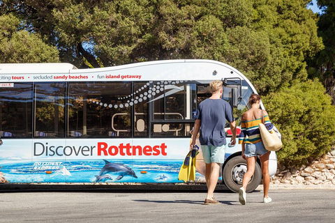 Discover Rottnest With Ferry & Bus Tour From Perth Or Fremantle - Southport Accommodation 1