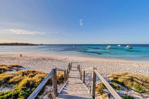 Discover Rottnest With Ferry & Bus Tour From Perth Or Fremantle - Southport Accommodation 4